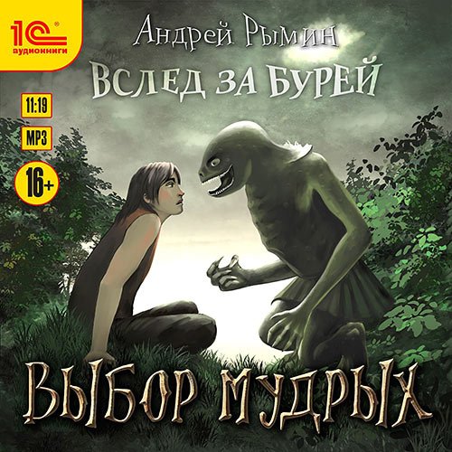 Андрей Рымин - Выбор мудрых (Аудиокнига)