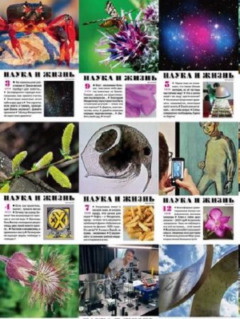 Постер к Подшивка журнала - Наука и жизнь за 2024 год