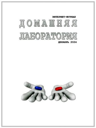 Постер к Домашняя лаборатория №12 (декабрь 2024)